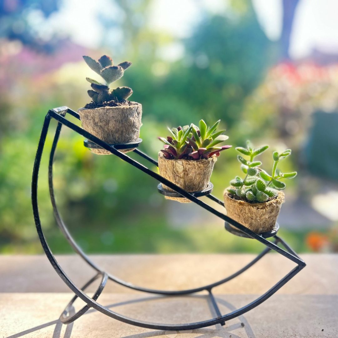 Eleganza naturale per il tuo design